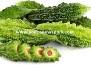 பாகற்காய் சாப்பிடுவதால் இவ்வளவு நன்மைகளா?