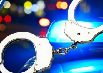 ஆடு திருட்டில் ஈடுபட்ட நபர் கைது