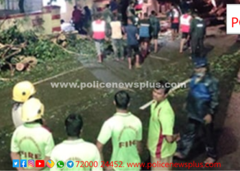 சாலையில் வேரோடு விழுந்த மரத்தினை அப்புறப்படுத்திய காவலர்கள்