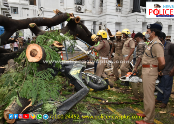 மரம் சாய்ந்து விழுந்து பெண் காவலர் பலி