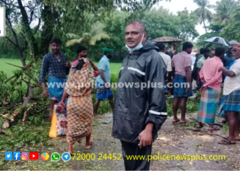 சாலையின் குறுக்கே விழுந்த மரத்தை அகற்றிய காவலர்