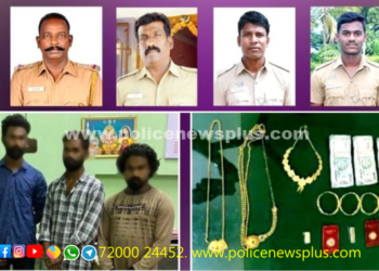 வழிப்பறி மற்றும் பல திருட்டுகளில் ஈடுபட்டவர் கைது