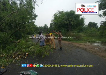 சாலையில் விழுந்த மரத்தை அகற்றி போக்குவரத்தை சீர் செய்த காவலர்கள்