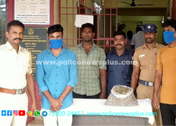 கஞ்சா விற்பனை செய்து வந்த இளைஞர்கள் கைது