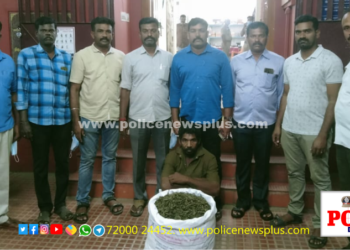 25 கிலோ கஞ்சா பறிமுதல் தனிப்படை போலீசார் அதிரடி நடவடிக்கை