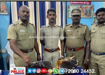 3.5 கோடி  மதிப்பிலான Ambergris எனப்படும் திமிங்கலத்தின் கழிவினை கடத்தி வந்த இருவர்