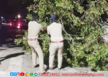 சாலையின் நடுவே முறிந்து விழுந்த மரத்தை விரைந்து சென்று அகற்றிய காவலர்கள்