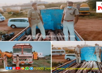 லாரியில் பதுக்கி வைத்திருந்த சுமார் 10 கோடி மதிப்புடைய செம்மரக்கட்டைகள் பறிமுதல்