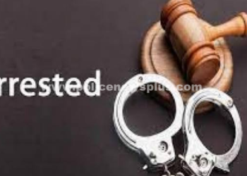 கஞ்சா பறிமுதல் 6 பேர் கைது