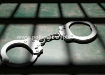 3 பேர் கைது