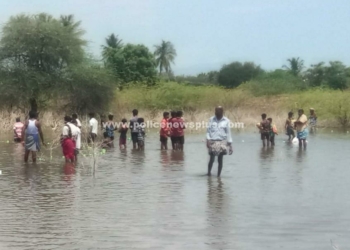 திண்டுக்கல்லில் மீன்பிடித் திருவிழா