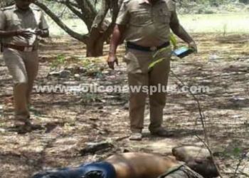 காவலர்கள் விசாரணையில் அதிர்ச்சி தகவல்