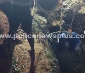 திண்டுக்கல்லில் கணவன் மனைவி பரிதாபம்