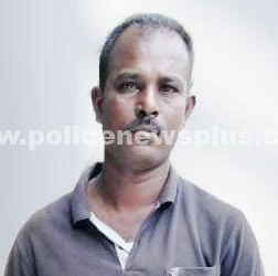 சாணார்பட்டி  காவல்துறை தீவிர சோதனையின்போது கைது