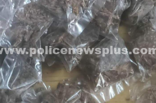 1.200 கிலோ கஞ்சா பறிமுதல்