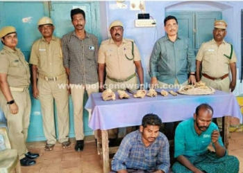 திண்டுக்கல்லில்  சந்தன கட்டைகளை,  பதுக்கிய 2 பேர் கைது