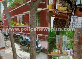 பறவைகளுக்கு மனிதநேயம் காட்டிய காவல் ஆய்வாளர்