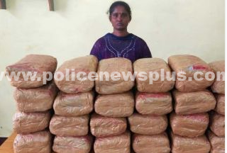 சூலூரில் கஞ்சா பதுக்கிய பெண்ணுக்கு சிறை தண்டனை