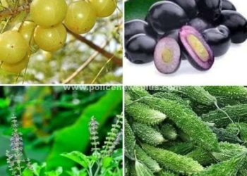 மக்களின் முக்கிய தேவைக்காக, பயனுள்ளவை!