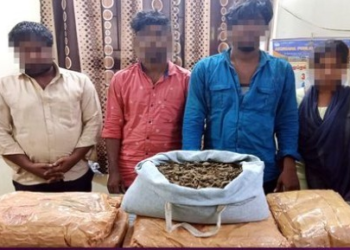 காவல்துறையினர் தீவிர சோதனையில்,34 கிலோ கஞ்சாபறிமுதல்!