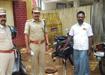 80 கண்காணிப்பு கேமராக்களை ஆய்வு, வளப்பு நாய் மீட்பு!