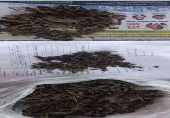 சட்டவிரோதமாக கஞ்சாவை, பதுக்கி வைத்திருந்த  நபர் கைது!