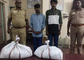 கடத்தி வந்த, 12 கிலோ கஞ்சா பறிமுதல்!