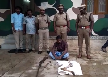 வனவிலங்கை வேட்டையாடிய, வாலிபர் கைது!