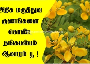 அதிக மருத்துவ  குணங்களைகொண்ட, தங்கபஸ்பம்!