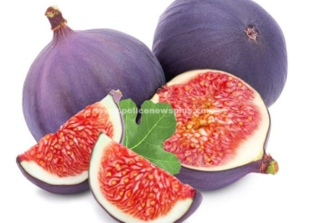 இரத்த சிவப்பணுக்களின், உற்பத்தியை அதிகரிக்கும் அத்திபழம்!