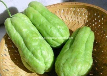 ஆச்சரியப்படுத்தும், உடல்நல நன்மைகள் தரும் சவுச்சவ்!