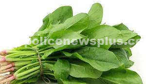 நீண்டஆயுளைப் பெறுவதற்கு, ஆரோக்கியமான உணவு!