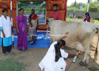 கால்நடை துறை சார்பில், சிறப்பு மருத்துவ முகாம்!