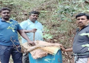 காவல்துறையினரின், கள்ளச்சாராய ஊரல் அதிரடி!