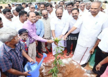 பசுமை தமிழகம் திட்டத்தின் கீழ், மரக்கன்றுகள் நடும் விழா!