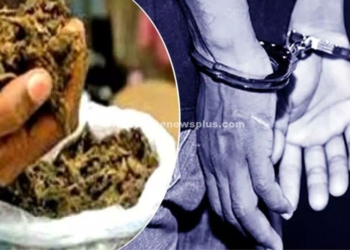 ஆந்திராபிரதேசம் மாநிலத்தில், தமிழக காவல்துறையின் அதிரடி!