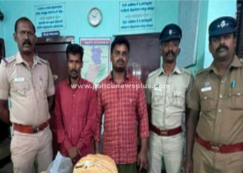 காவல்துறையினரின் இரவு வேட்டையில் குற்றவாளி கைது!