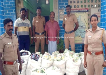 திருநெல்வேலி காவல்துறையினரின் அதிரடி வேட்டை!