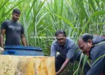 விளை நிலங்களில் சாராயம் அழித்த, கரியாலூர் போலீசார்!