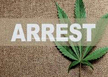 ரோந்தில் சிக்கிய கஞ்சா 4 பேர் கைது!