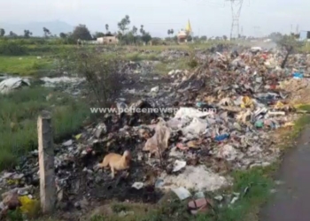 திறந்தவெளியில் குப்பைகளை கொட்டுவதால், தொற்று நோய் பரவும் அபாயம்!