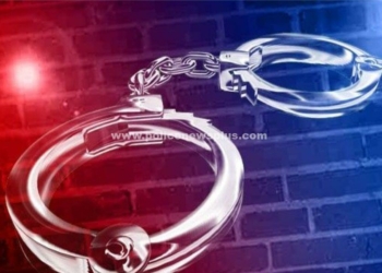 கிரைனட் கற்களை கடத்தி வந்த 4 நபர்கள் கைது!