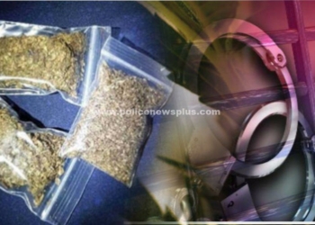 சட்டவிரோதமான செயலில் குற்றவாளி கைது!