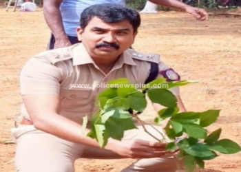 மரக்கன்றுகள் நடும் பணி!