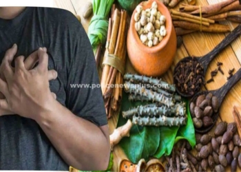 மாரடைப்பு வராமல் தடுக்கும் 5 அற்புத மூலிகைகள்!