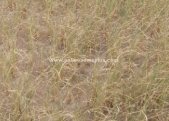 நல்லுக்குறிச்சி கிராம மக்களின் கோரிக்கை