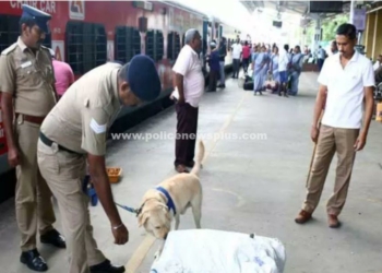 இரவு பகலாக பலத்த பாதுகாப்பு சோதனை!