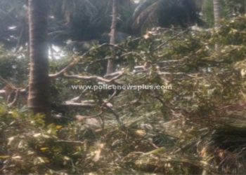 24 ஆண்டுகால பிரச்சனைக்கு நிரந்தர தீர்வு