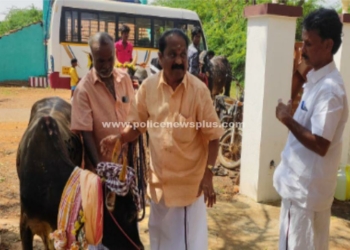 காளைகளுக்கு துண்டு அணிவித்து வரவேற்பு