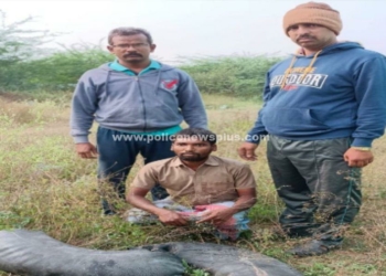 டியூபில் பதுக்கிய சாராயம்!